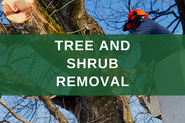 tree service saskatoon
